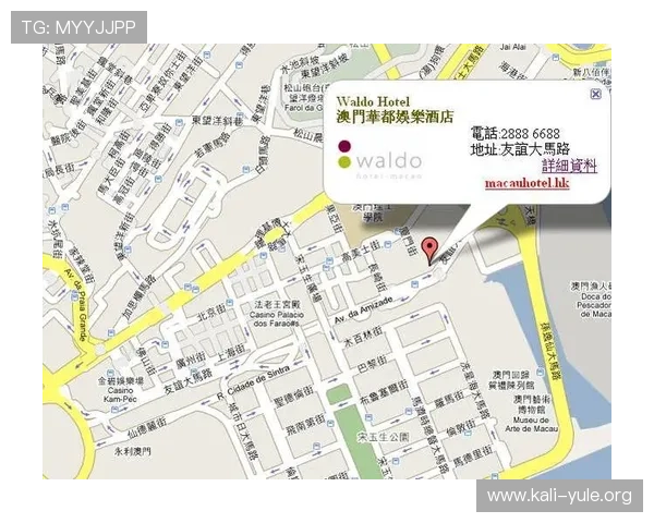 澳门华都娱乐场的法律合规与安全措施保障客户权益